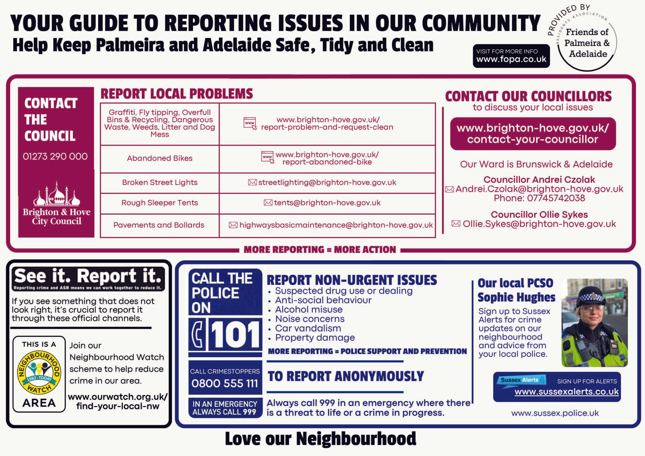 Guide to reporting Issues